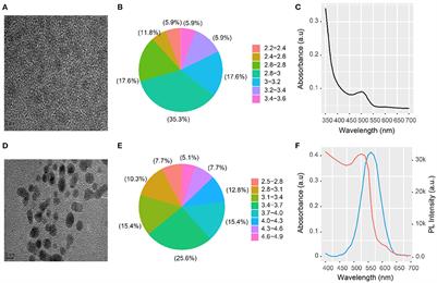 Detection of rabies virus via exciton energy transfer between CdTe quantum dots and Au nanoparticles